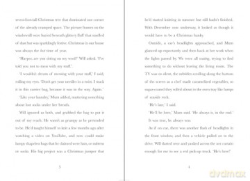 The Biggest Christmas Secret Ever: A laugh out loud story of family Christmas chaos! - L.D. Lapinski [KSIĄŻKA]