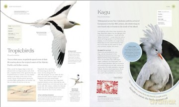 The Bird Book: The Stories, Science, and History of Birds [KSIĄŻKA]