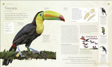 The Bird Book: The Stories, Science, and History of Birds [KSIĄŻKA]