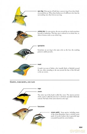 The Birds of Panama: A Field Guide (Zona Tropical Publications) - George Angehr [KSIĄŻKA]