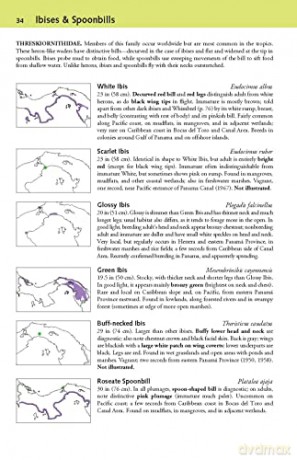 The Birds of Panama: A Field Guide (Zona Tropical Publications) - George Angehr [KSIĄŻKA]