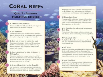 The Blue Planet II Quiz Book: Majestic whales, playful dolphins, mighty sharks and more! - Ella Law [KSIĄŻKA]