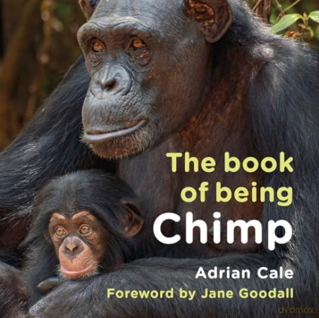 The Book of Being Chimp - Adrian Cale [KSIĄŻKA]