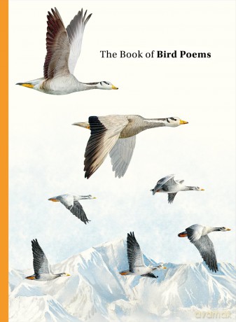 The Book of Bird Poems - Ana Sampson [KSIĄŻKA]