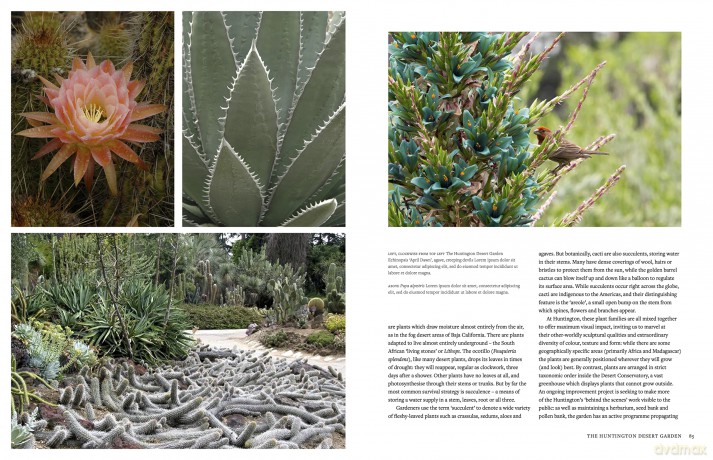 The Botanic Garden: The world's greatest botanical sanctuaries - Ambra Edwards [KSIĄŻKA]
