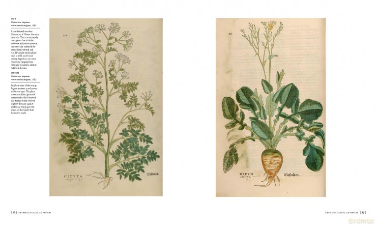 The Botanists' Library: The most important botanical books in history (Liber Historica) - Carolyn Fry [KSIĄŻKA]