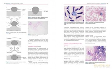 The Busy Vet's Guide to Cytology: What Do All the Blobs Mean - Nick Marsh [KSIĄŻKA]