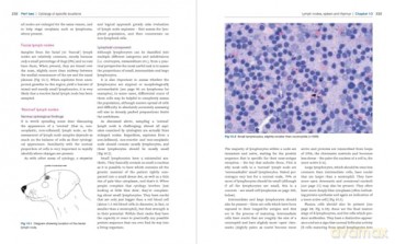 The Busy Vet's Guide to Cytology: What Do All the Blobs Mean - Nick Marsh [KSIĄŻKA]