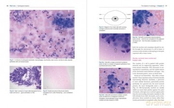 The Busy Vet's Guide to Cytology: What Do All the Blobs Mean - Nick Marsh [KSIĄŻKA]