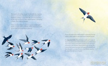 The Call of the Birds: How We Can Help Birds Everywhere - Seraphine Menu [KSIĄŻKA]