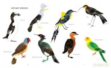The Call of the Birds: How We Can Help Birds Everywhere - Seraphine Menu [KSIĄŻKA]
