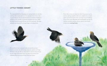 The Call of the Birds: How We Can Help Birds Everywhere - Seraphine Menu [KSIĄŻKA]