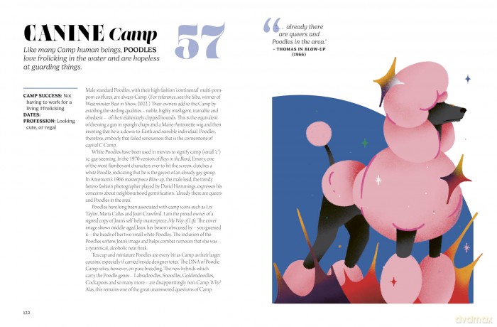 The Camp 100: Glorious flamboyance, from Louis XIV to Lil Nas X - Simon Doonan [KSIĄŻKA]