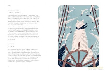 The Cat Year: Cats, Magic, Nature and Spells - Alison Davies [KSIĄŻKA]