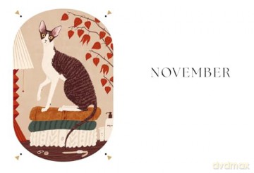 The Cat Year: Cats, Magic, Nature and Spells - Alison Davies [KSIĄŻKA]
