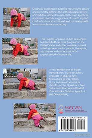 The Child from Birth to Three in Waldorf Education and Child Care: Second Edition - Rainer Patzlaff [KSIĄŻKA]