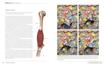 The Climbing Bible: Managing Injuries: Injury prevention and rehabilitation for climbing and bouldering: 3 - Stian Christophersen [KSIĄŻKA]