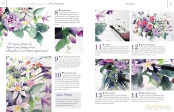 The Compact Beginner's Guide to Watercolours: Everything you need to start creating today (Compact Guides) - Phillipa Grafton [KSIĄŻKA]