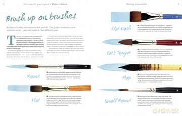 The Compact Beginner's Guide to Watercolours: Everything you need to start creating today (Compact Guides) - Phillipa Grafton [KSIĄŻKA]