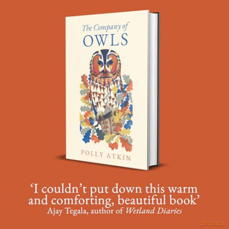 The Company of Owls - Polly Atkin [KSIĄŻKA]