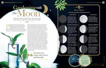 The Complete Beginner's Guide to Green Witchcraft - Juliette O'Neill [KSIĄŻKA]