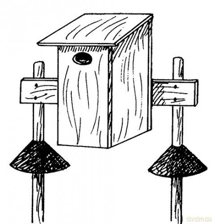 The Complete Book of Bird House Construction for Woodworkers (Dover Woodworking) - Scott D. Campbell [KSIĄŻKA]