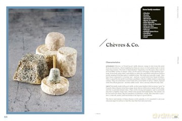 The Complete Book of Cheese: History, Techniques, Recipes, Tips - Anne-Laure Pham [KSIĄŻKA]