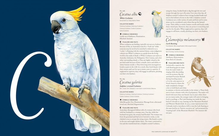The Complete Language of Birds: A Definitive and Illustrated History (13) (Complete Illustrated Encyclopedia) - Randi Minetor [KSIĄŻKA]