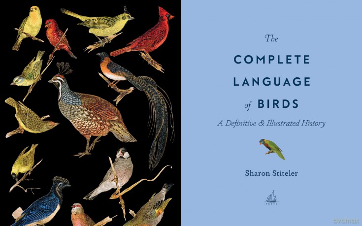 The Complete Language of Birds: A Definitive and Illustrated History (13) (Complete Illustrated Encyclopedia) - Randi Minetor [KSIĄŻKA]