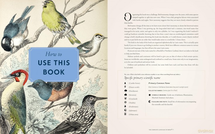The Complete Language of Birds: A Definitive and Illustrated History (13) (Complete Illustrated Encyclopedia) - Randi Minetor [KSIĄŻKA]