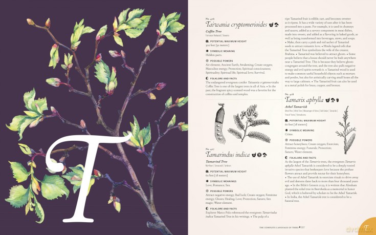 The Complete Language of Trees - Pocket Edition: A Definitive and Illustrated History - S. Theresa Dietz [KSIĄŻKA]
