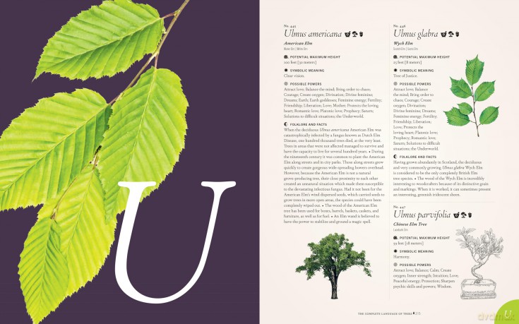 The Complete Language of Trees - Pocket Edition: A Definitive and Illustrated History - S. Theresa Dietz [KSIĄŻKA]