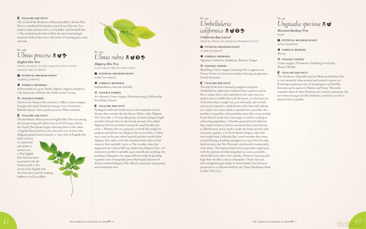 The Complete Language of Trees - Pocket Edition: A Definitive and Illustrated History - S. Theresa Dietz [KSIĄŻKA]