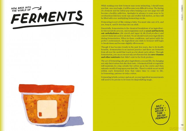 The Condiment Book: A Brilliantly Flavourful Guide to Food's Unsung Heroes - Claire Dinhut [KSIĄŻKA]