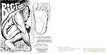 The Cryptid Creatures Coloring Book: From Bigfoot and Mothman to the Chupacabra, Color the World's Most Mysterious Monsters - Andy Price [KSIĄŻKA]