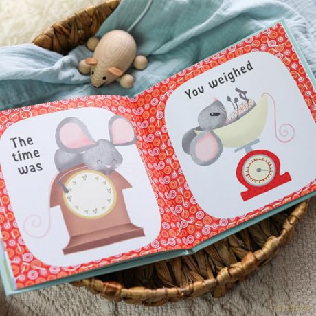 The Day You Were Born In April: A Baby Birth Gift Book - Lucy Tapper [KSIĄŻKA]