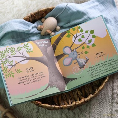 The Day You Were Born In December: A Baby Birth Gift Book - Lucy Tapper [KSIĄŻKA]