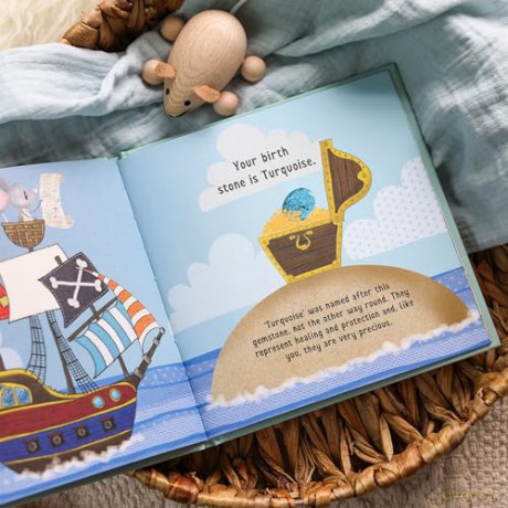 The Day You Were Born In December: A Baby Birth Gift Book - Lucy Tapper [KSIĄŻKA]