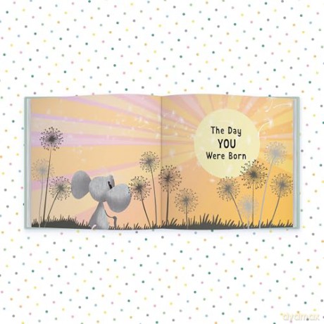 The Day You Were Born In December: A Baby Birth Gift Book - Lucy Tapper [KSIĄŻKA]