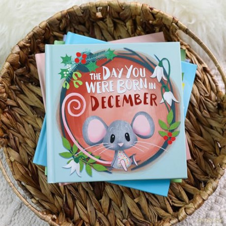 The Day You Were Born In December: A Baby Birth Gift Book - Lucy Tapper [KSIĄŻKA]