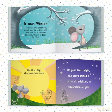 The Day You Were Born In December: A Baby Birth Gift Book - Lucy Tapper [KSIĄŻKA]