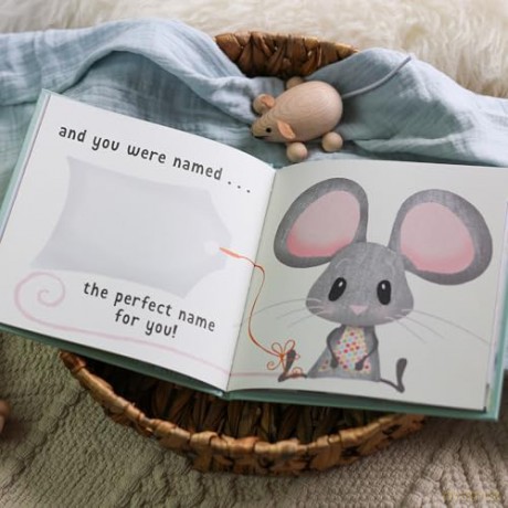 The Day You Were Born In December: A Baby Birth Gift Book - Lucy Tapper [KSIĄŻKA]