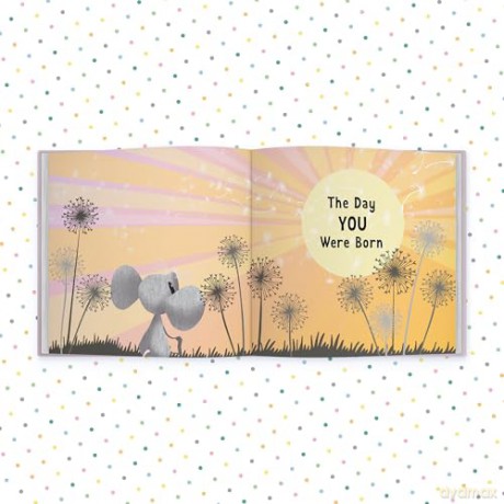 The Day You Were Born In February: A Baby Birth Gift Book - Lucy Tapper [KSIĄŻKA]