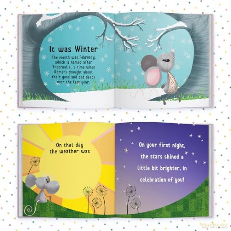 The Day You Were Born In February: A Baby Birth Gift Book - Lucy Tapper [KSIĄŻKA]