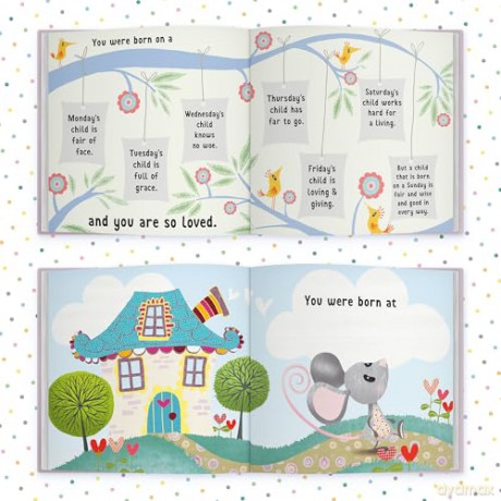 The Day You Were Born In February: A Baby Birth Gift Book - Lucy Tapper [KSIĄŻKA]