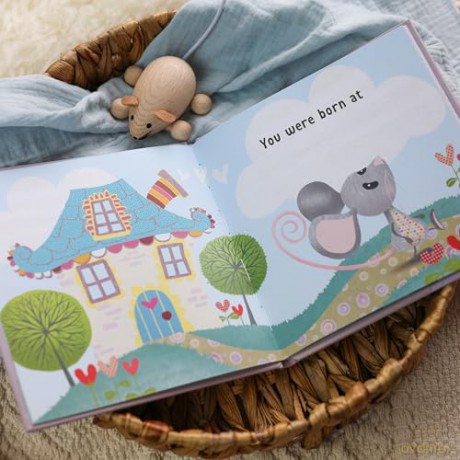 The Day You Were Born In February: A Baby Birth Gift Book - Lucy Tapper [KSIĄŻKA]