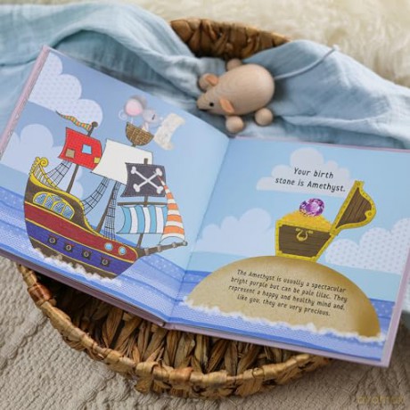 The Day You Were Born In February: A Baby Birth Gift Book - Lucy Tapper [KSIĄŻKA]