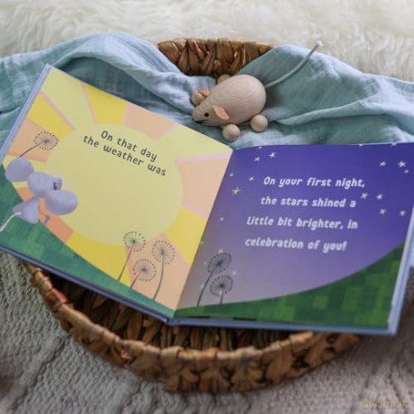 The Day You Were Born In January: A Baby Birth Gift Book - Lucy Tapper [KSIĄŻKA]