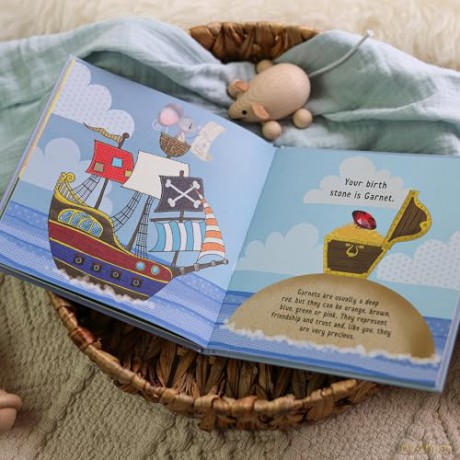 The Day You Were Born In January: A Baby Birth Gift Book - Lucy Tapper [KSIĄŻKA]