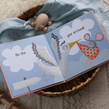 The Day You Were Born In July: A Baby Birth Gift Book - Lucy Tapper [KSIĄŻKA]